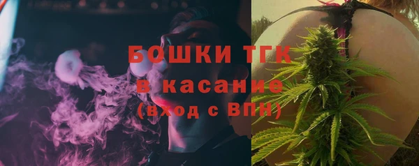 сатива Армянск