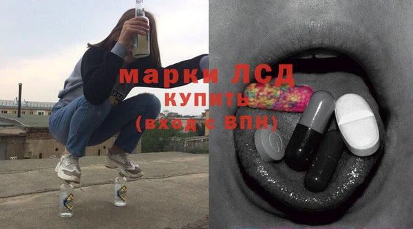 сатива Армянск