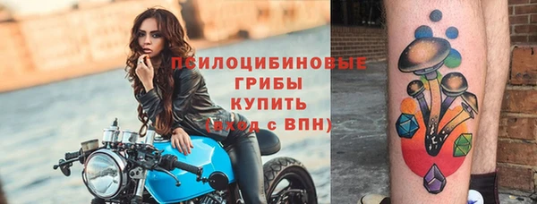мет Арсеньев