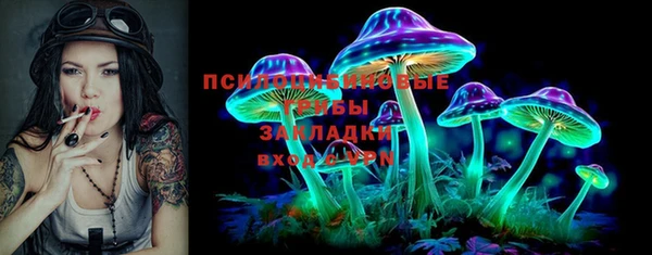 мет Арсеньев