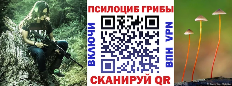Псилоцибиновые грибы мухоморы  Купить закладки  Тюмень 